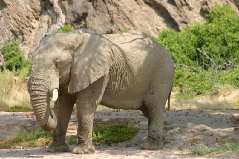 Fort Sesfontein Lodge & Safaris Экстерьер фото